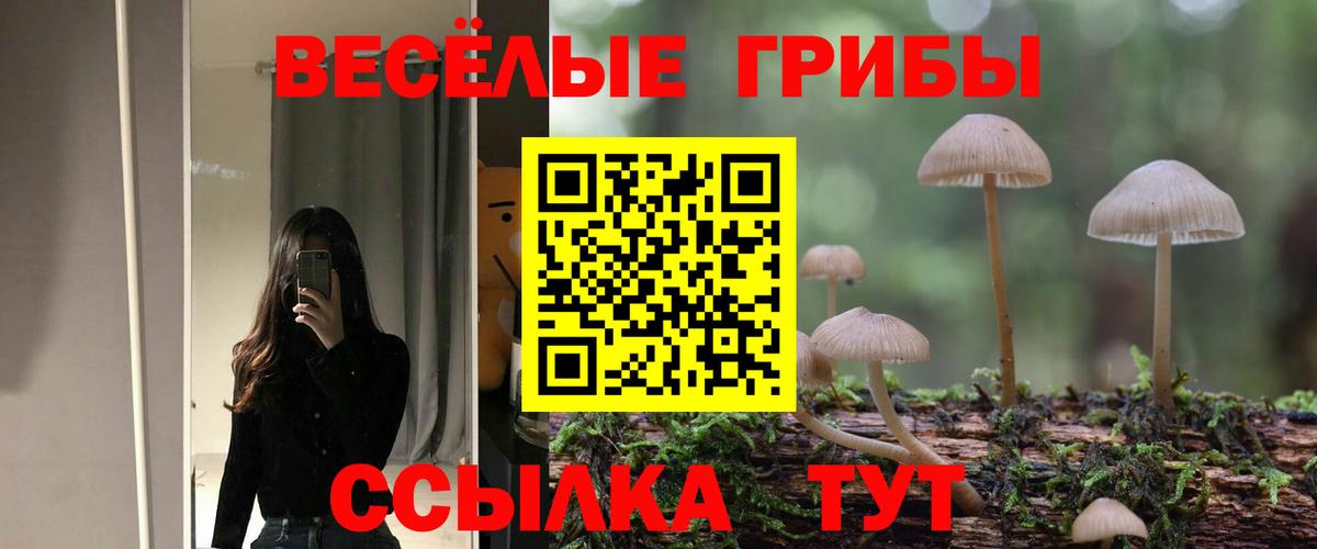Псилоцибиновые грибы Psilocybine cubensis Троицк